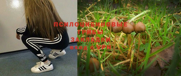 мескалин Армянск