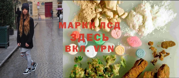 стафф Арсеньев