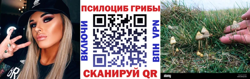 Псилоцибиновые грибы Psilocybine cubensis  нарко площадка формула  Оханск 